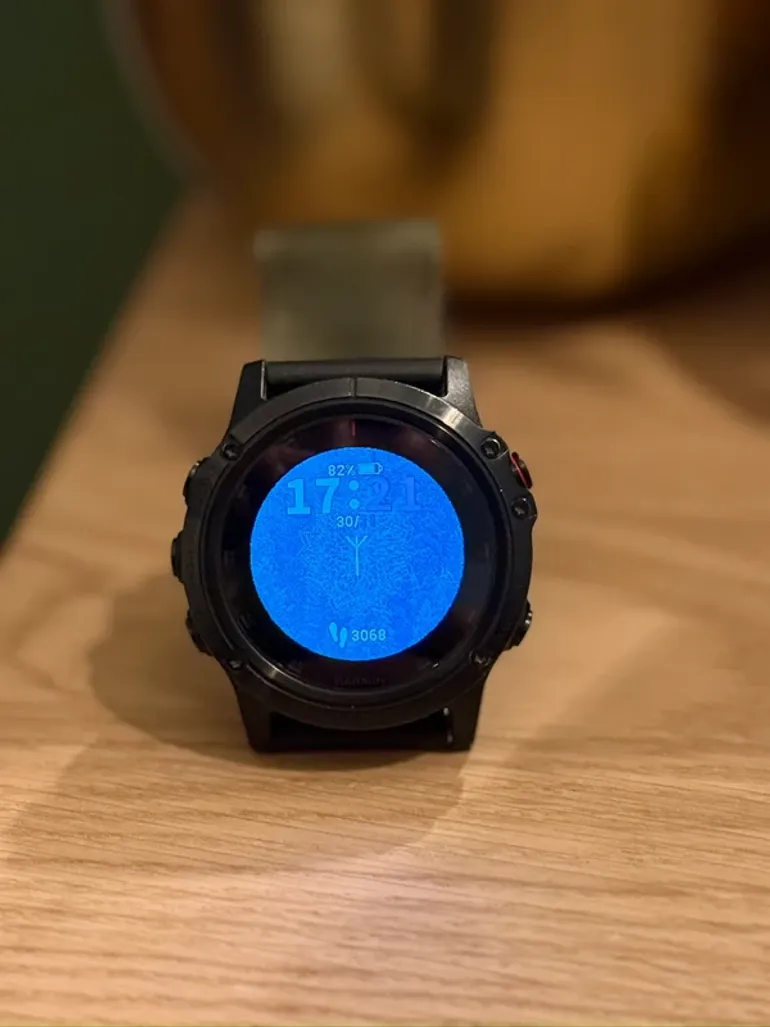 Used Garmin fenix 5X Plus bike — image 5 of 6