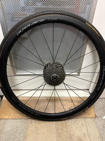 Shimano C36/C50 2023 bike d'occasion — image 1 sur 2