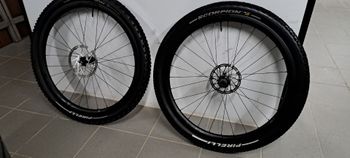 Gebrauchtes Syncros Silverton 1.0 Carbon Wheels 2021 bike — Bild 1 von 6