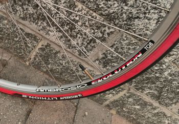 Gebrauchtes Ambrosio Evolution TQB bike — Bild 2 von 6