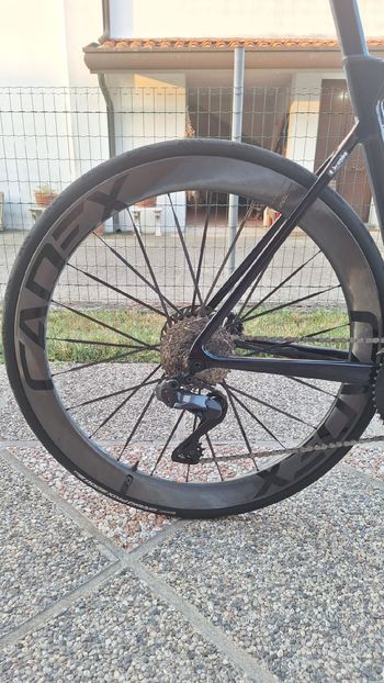 Brugt Cadex ultra 50mm 2024 bike — billede 1 af 5
