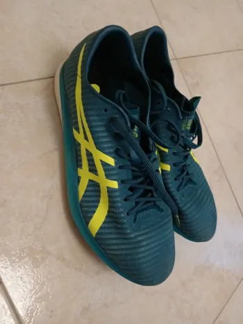 Used Asics Metaspeed LD bike — image 2 of 8