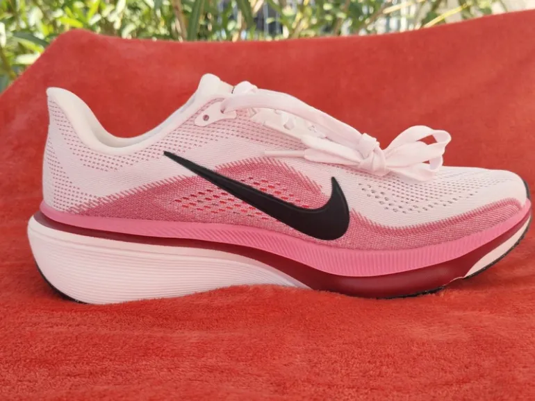 Used Pegasus Nike 42 bike — image 2 of 15