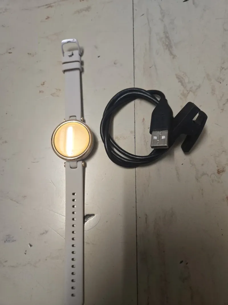 Used Garmin Lily Classic Electronics