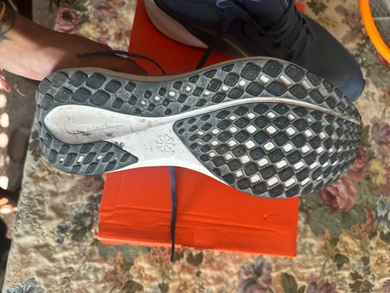 Pegasus 41 bike usato — immagine 2 di 9