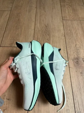 Used Pegasus Nike Zoom 41 bike — image 9 of 10