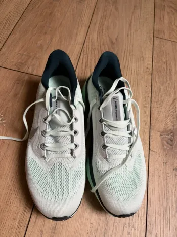 Used Pegasus Nike Zoom 41 bike — image 2 of 10