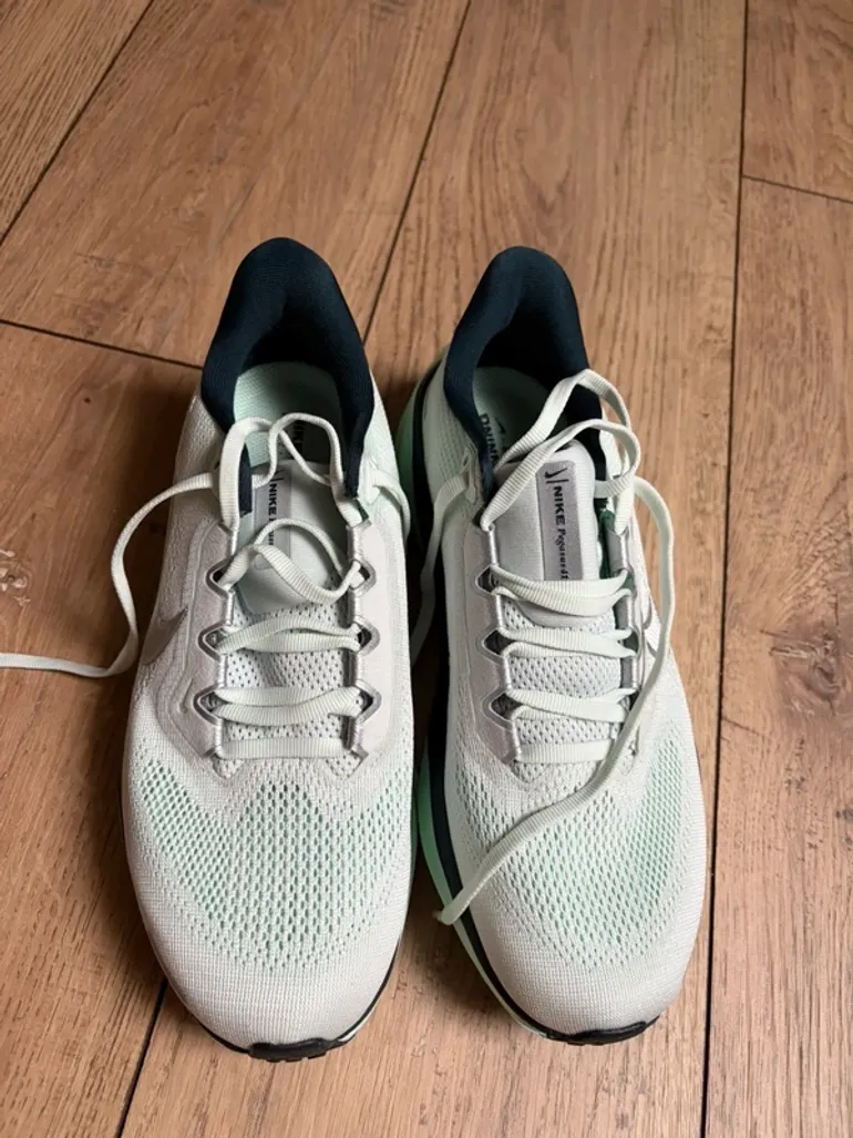 Used Pegasus Nike Zoom 41 bike — image 2 of 10