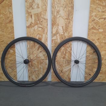 Bontrager, Paradigm Comp