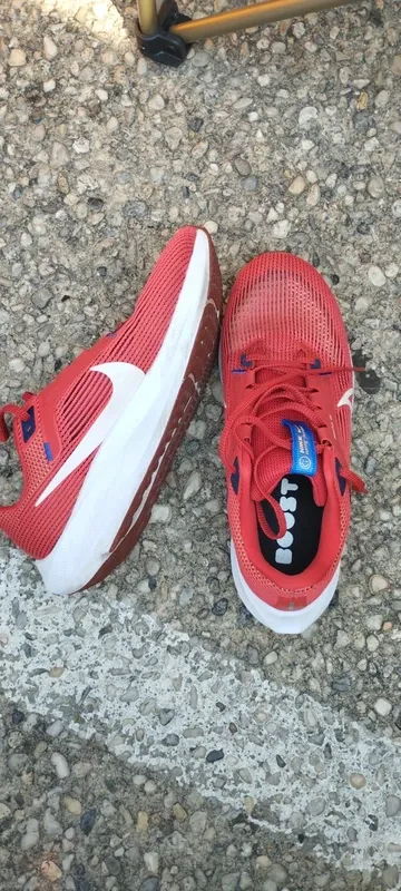 Pegasus 40 Running Shoes usato