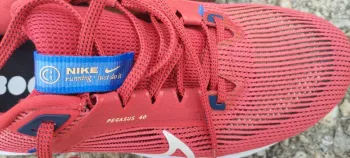 Pegasus 40 bike usato — immagine 3 di 6