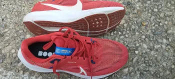 Pegasus 40 bike usato — immagine 2 di 6