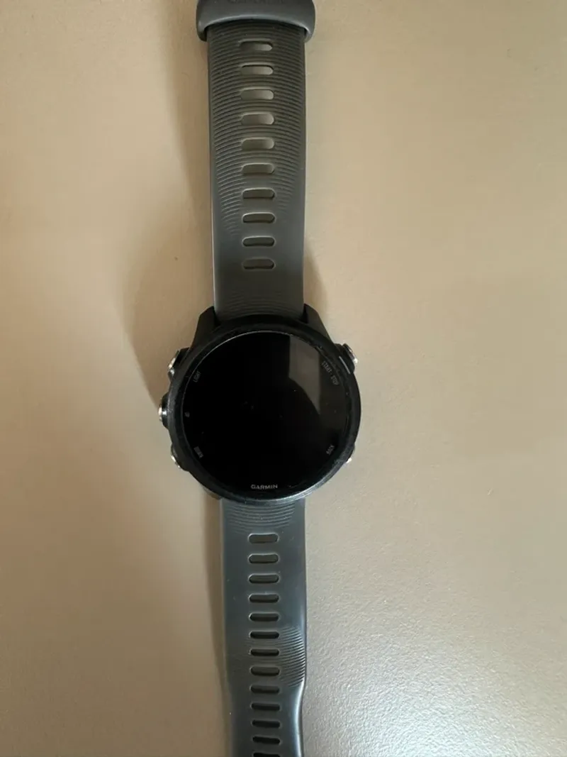 Tweedehands Garmin 245 Electronics