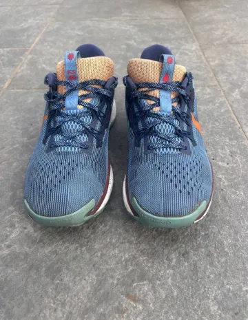 Pegasus Trail 5 Running Shoes d'occasion