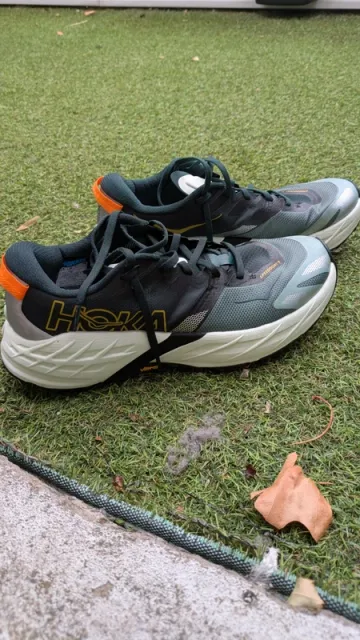 Tweedehands Orange Speedgoat 7 Running Shoes
