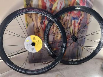 Käytetty ws evo trl 2024 Wheels