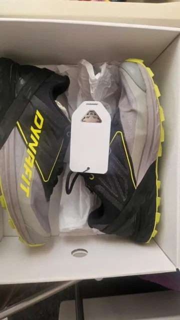 Used Dynafit Alpine Running Shoes
