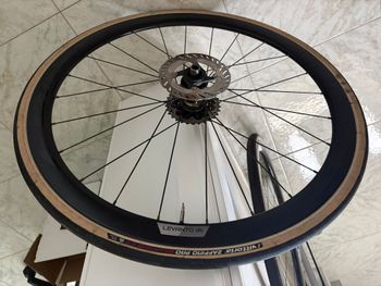 Used Forza LEVANTO db Wheels bike — image 1 of 2