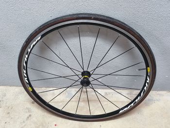 Tweedehands Mavic Aksium 2019 bike — afbeelding 3 van 5