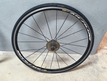 Tweedehands Mavic Aksium 2019 bike — afbeelding 4 van 5