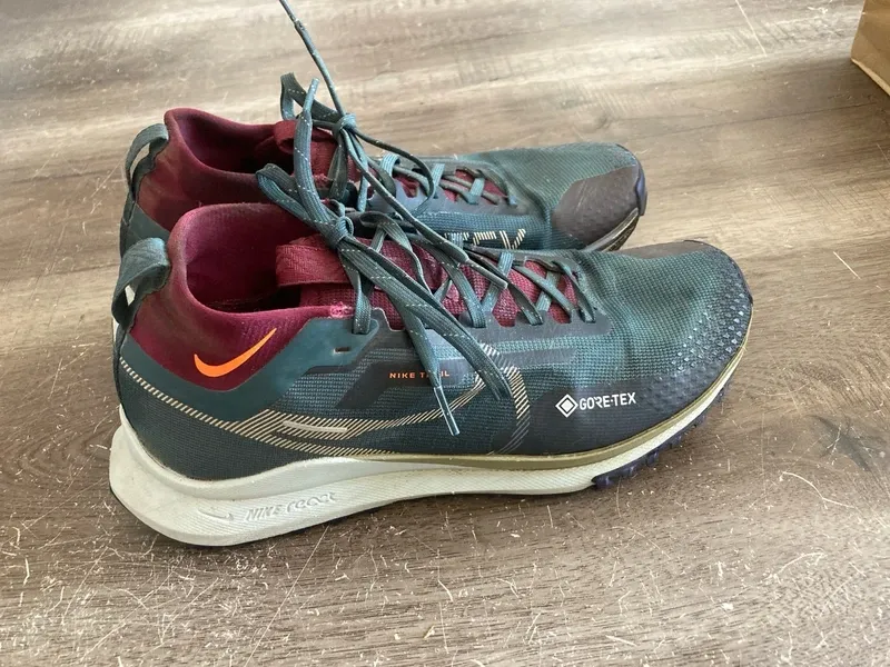 Pegasus Trail Gore-Tex Running Shoes de segunda mano