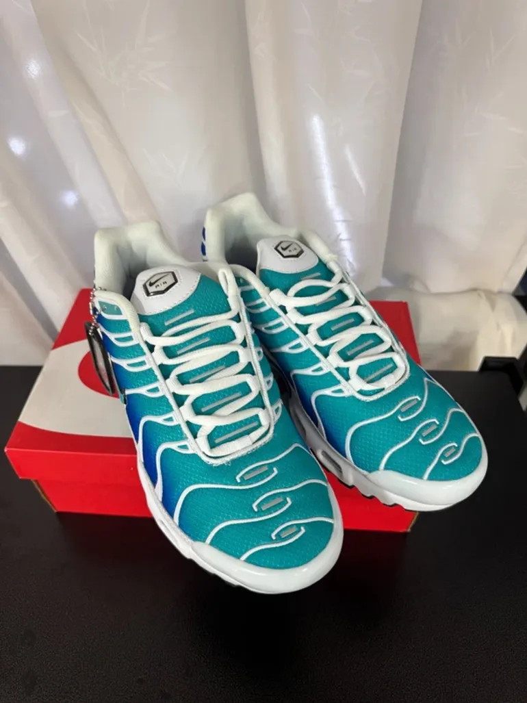 Used Nike Air Max Plus TN bike — image 2 of 6