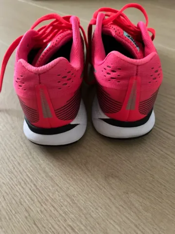 Used Pegasus Zoom 34 bike — image 3 of 5