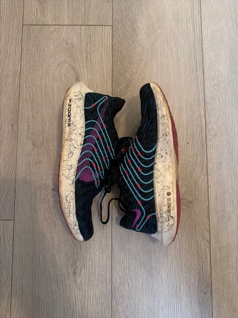 Used Pegasus Turbo Next Nature SE Running Shoes