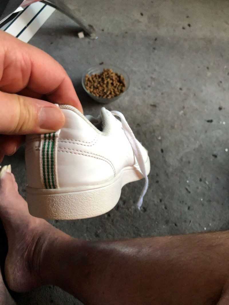 Used Adidas VS Advantage Clean 2010 Tennis