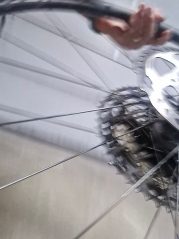 Used Newmen Evolution SL A.30 Rims 2024 bike — image 13 of 17