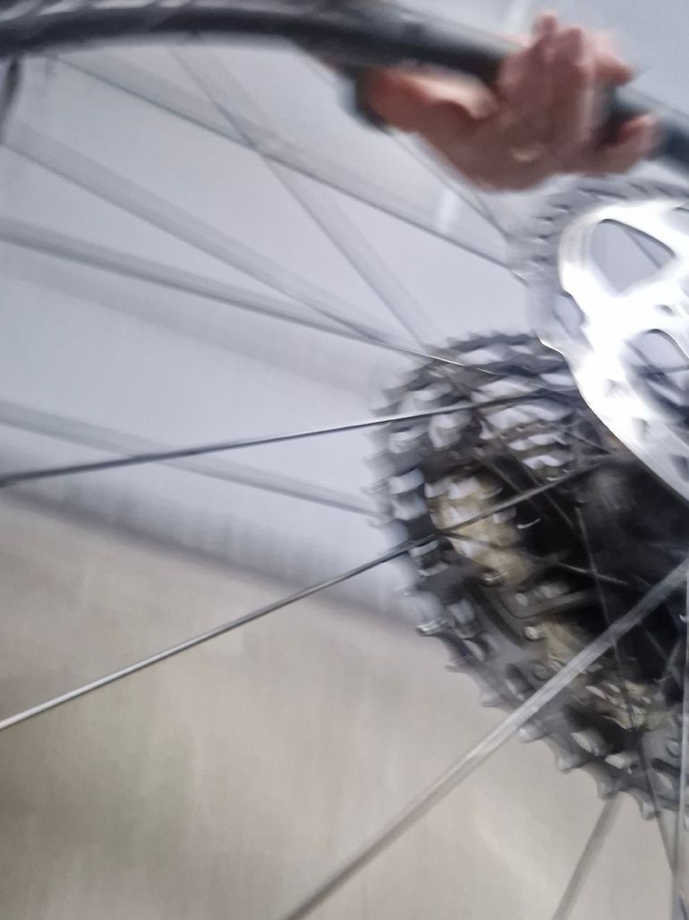 Used Newmen Evolution SL A.30 Rims 2024 bike — image 13 of 17