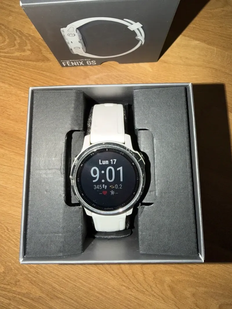 Used Garmin Fenix 6S Electronics