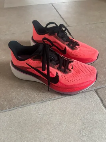 Pegasus 42 bike usato — immagine 3 di 11