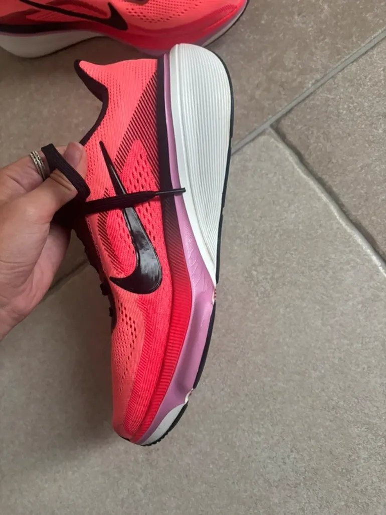 Pegasus 42 bike usato — immagine 9 di 11