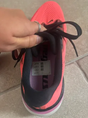 Pegasus 42 bike usato — immagine 4 di 11