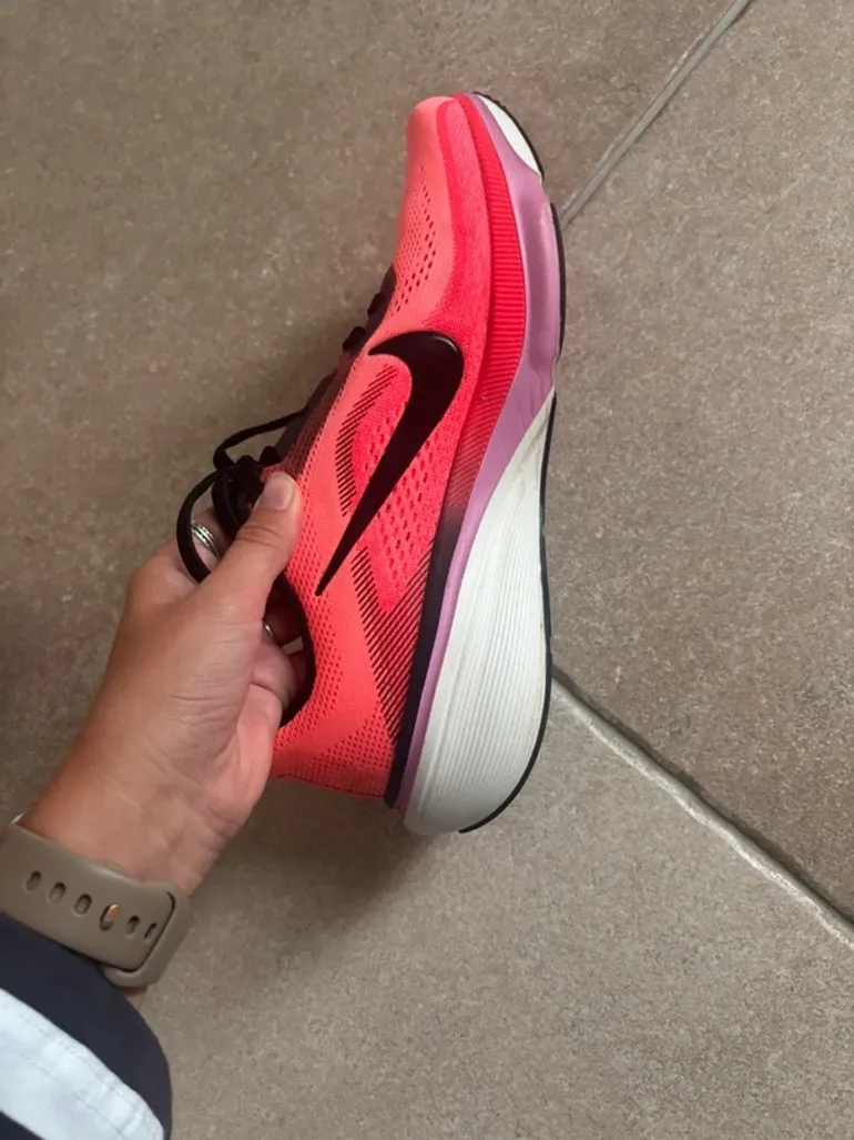 Pegasus 42 bike usato — immagine 7 di 11