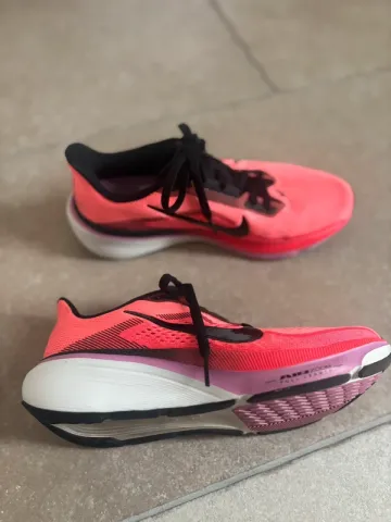 Pegasus 42 bike usato — immagine 1 di 11