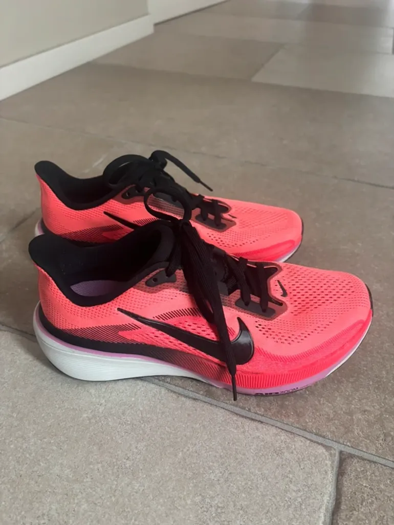 Pegasus 42 bike usato — immagine 2 di 11