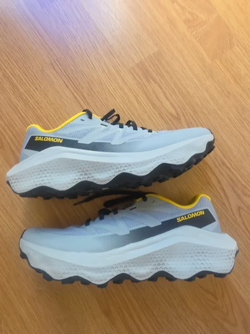 Gebrauchtes Salomon barquettes Hiking