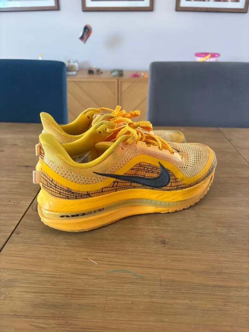 Used Pegasus Air Premium LV 8 Running Shoes