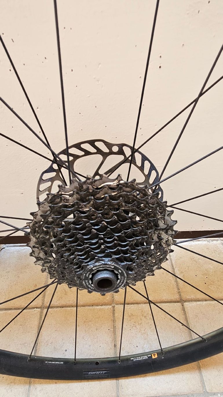 Giant Cerchi in alluminio 2025 bike d'occasion — image 3 sur 7