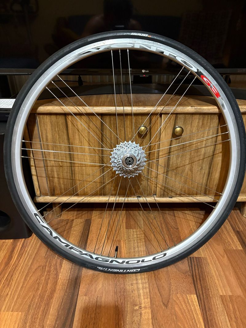 Used Campagnolo Vento Rear Wheel Wheels