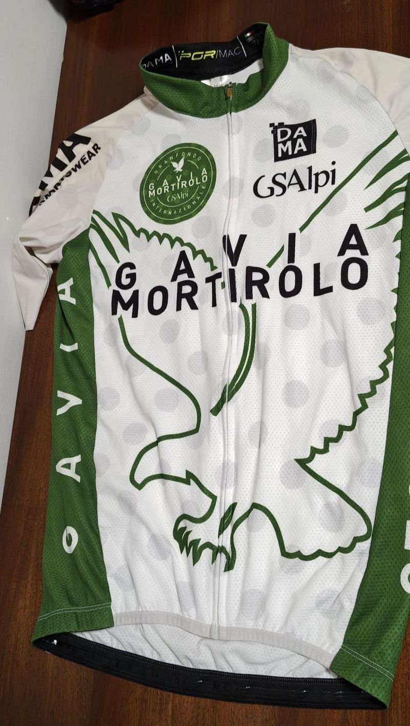 Gebrauchtes Dama Gran Fondo Gavia Mortirolo Jersey Cycling Clothing
