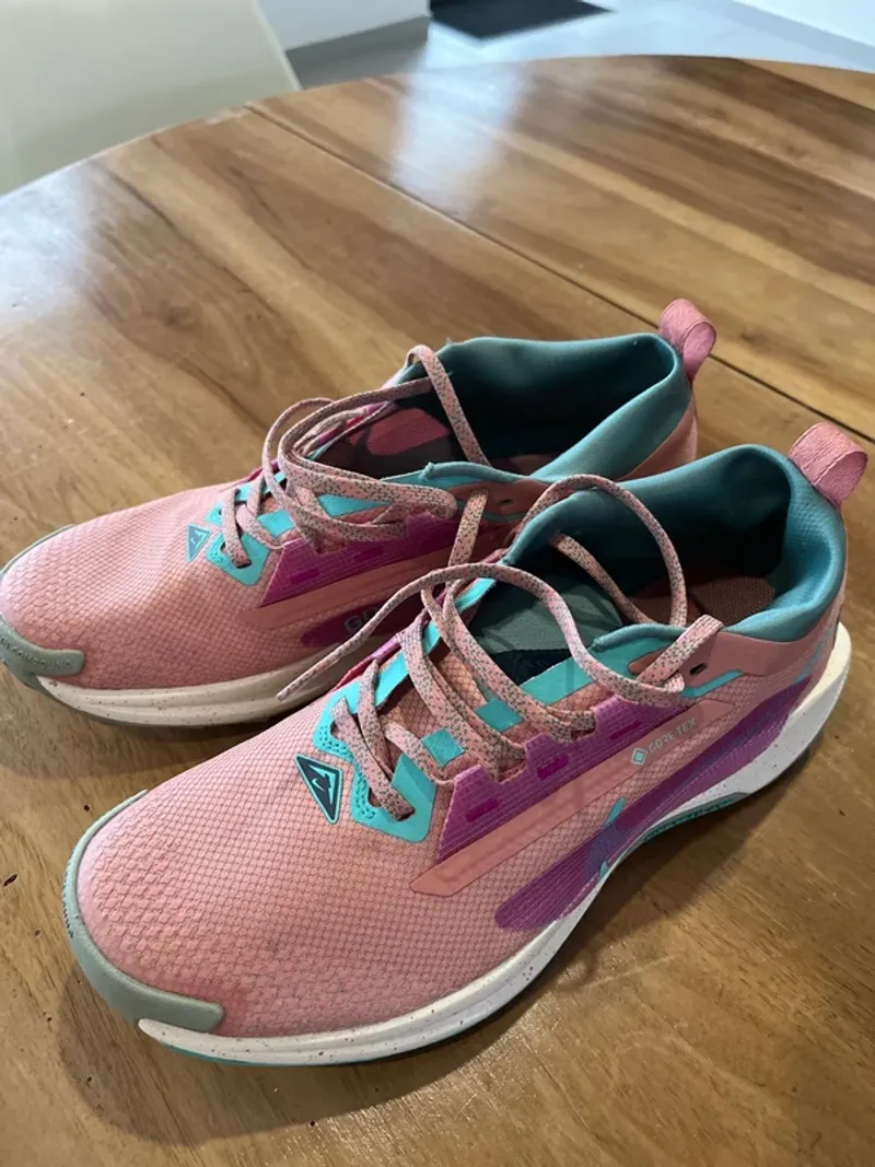 Used Pegasus Trail 5 GTX Running Shoes