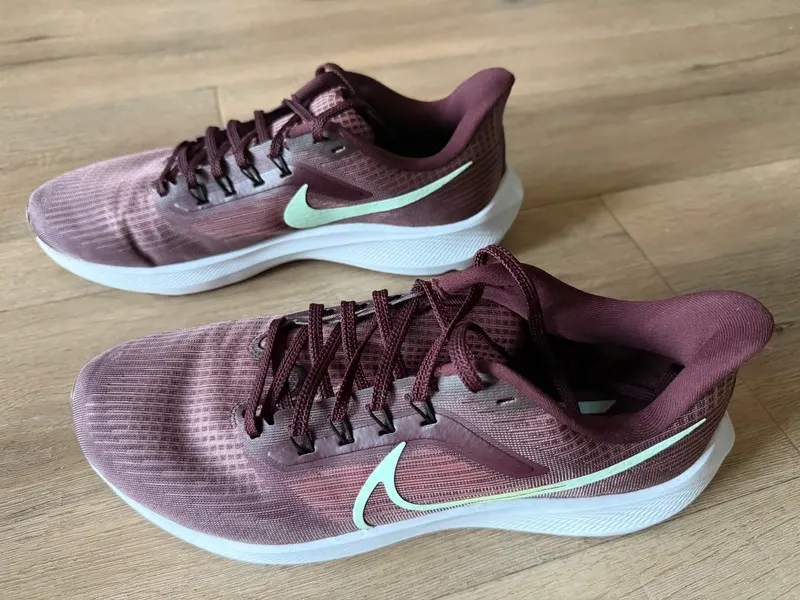 Used Pegasus 39 Running Shoes