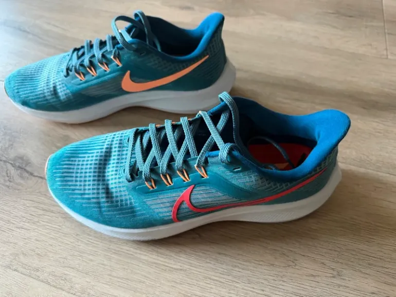 Pegasus 39 bike usato — immagine 1 di 2
