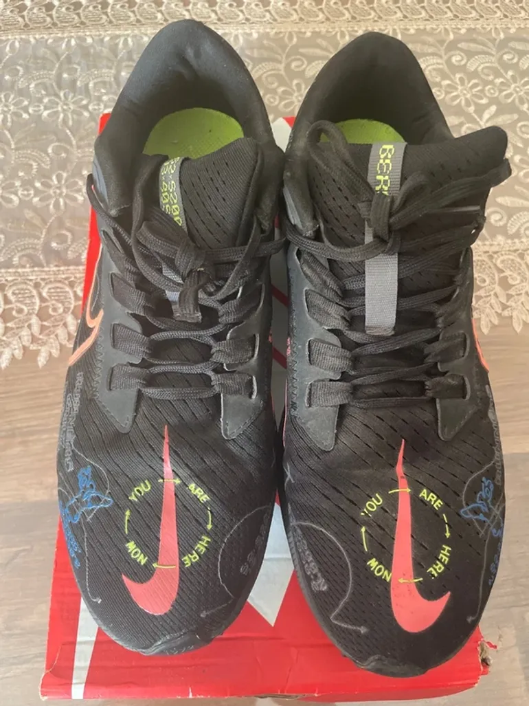 Used Pegasus Air Zoom 38 Berlin Marathon bike — image 2 of 6