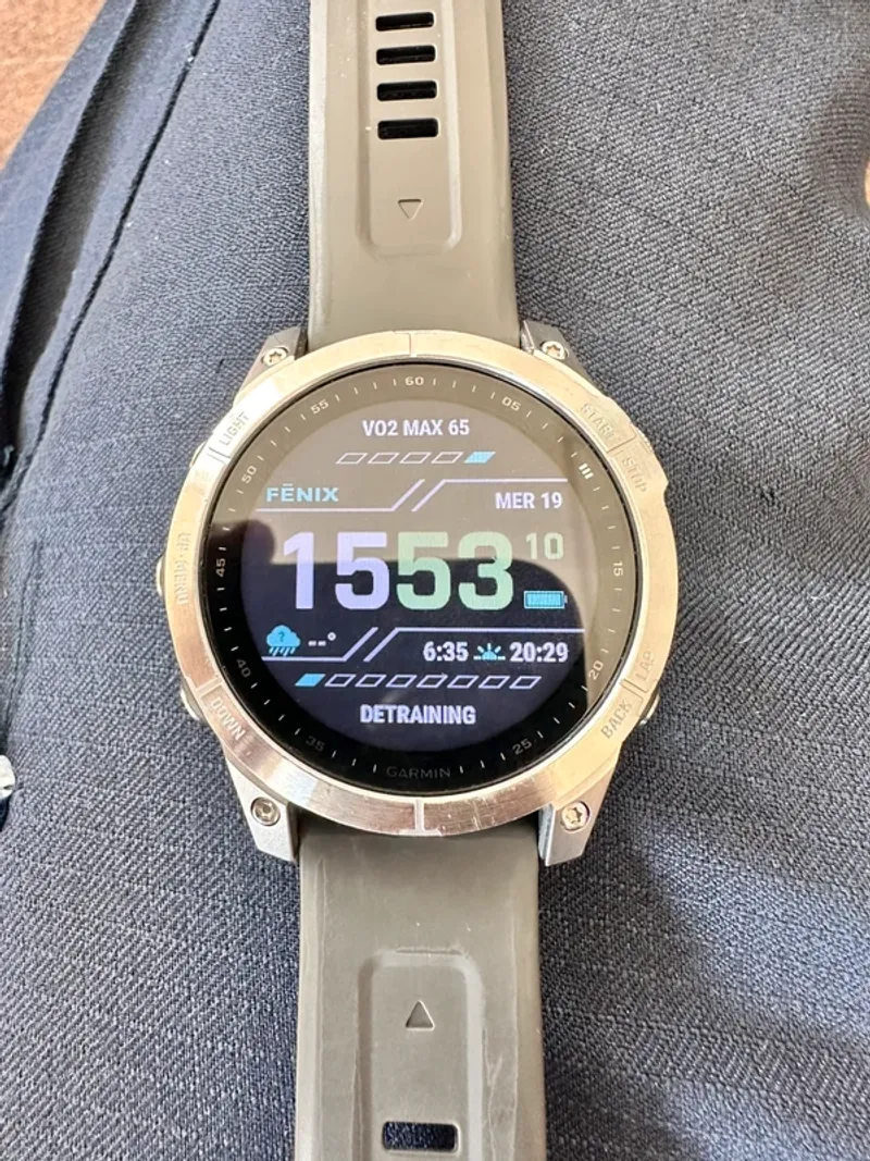 Garmin Fenix 7 Electronics usato