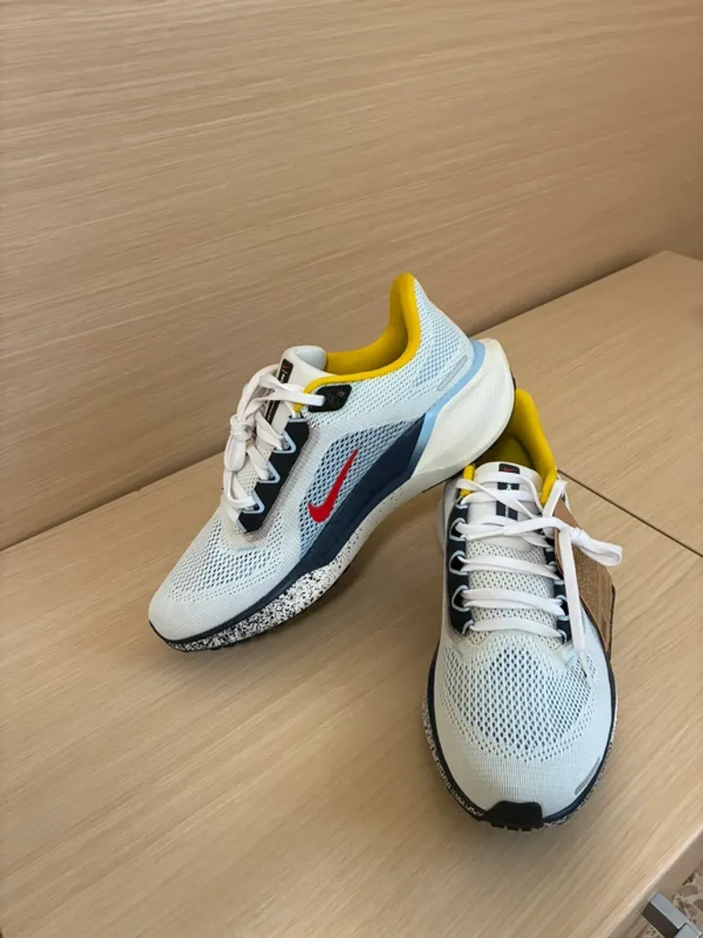 Used Pegasus Air Zoom 41 bike — image 1 of 6