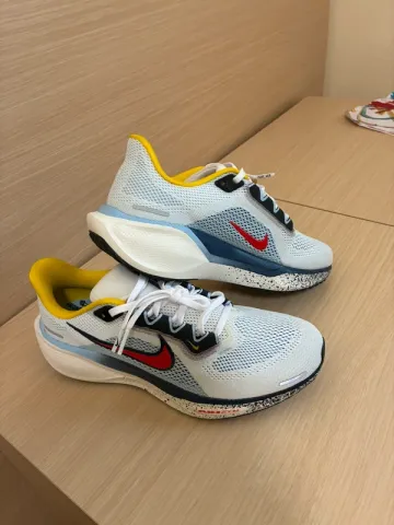 Used Pegasus Air Zoom 41 bike — image 2 of 6